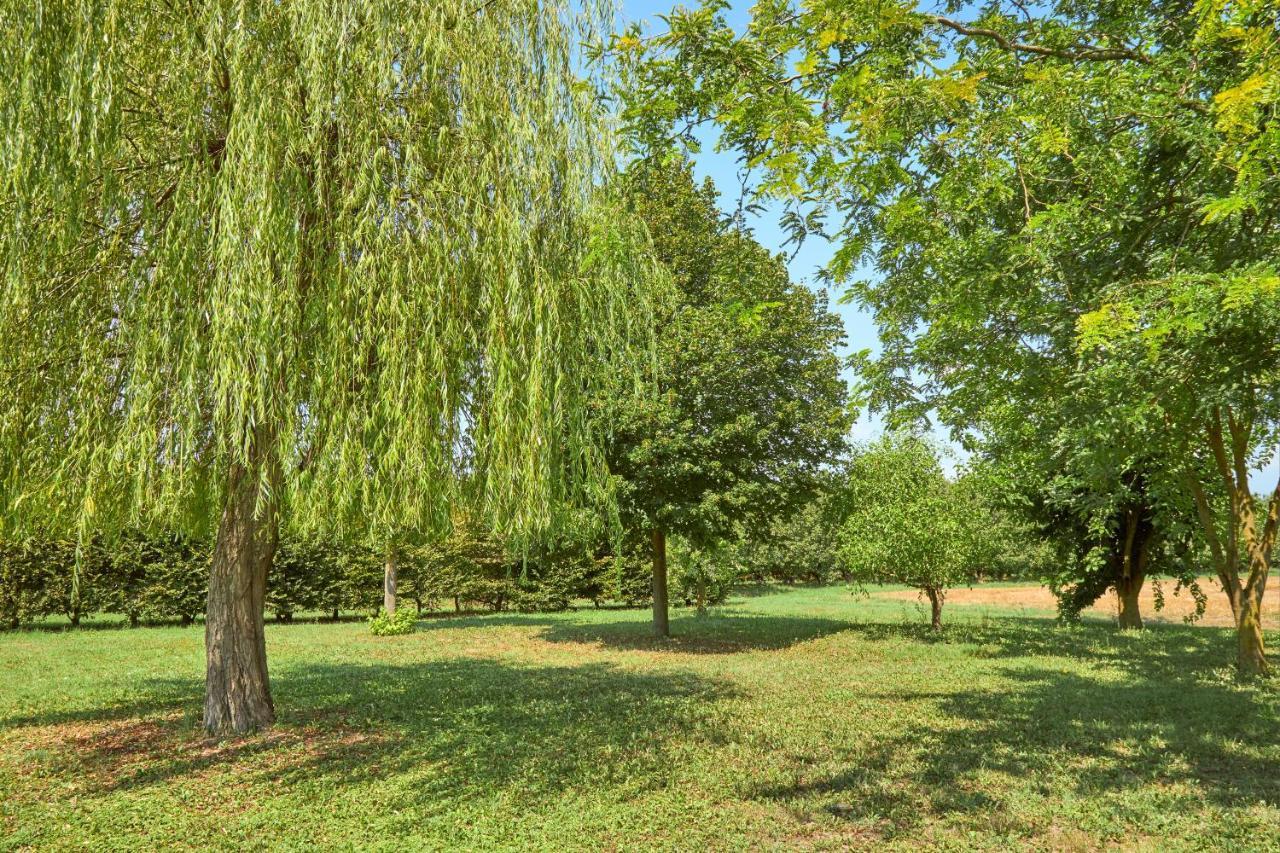 Agriturismo Forzello Ariano nel Polesine Exterior foto